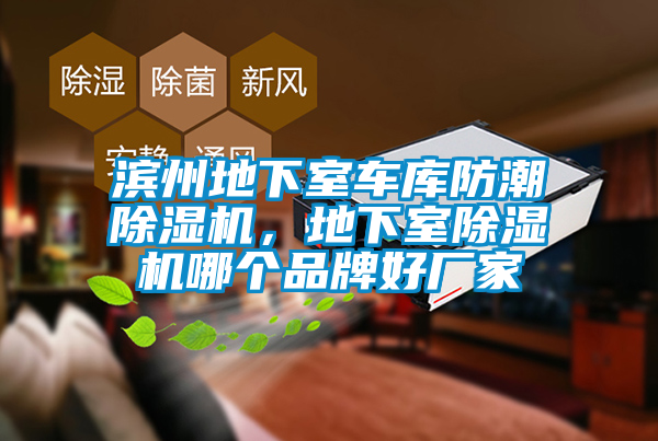 濱州地下室車庫防潮除濕機，地下室除濕機哪個品牌好廠家