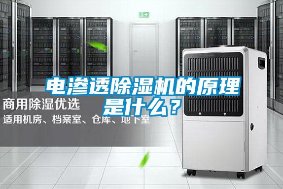 電滲透除濕機(jī)的原理是什么?