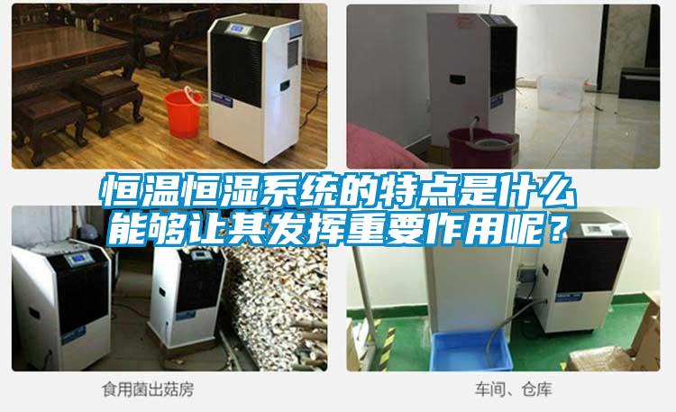 恒溫恒濕系統的特點是什么能夠讓其發揮重要作用呢？