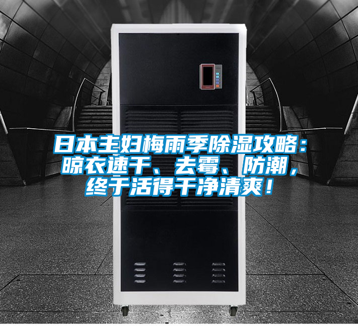 日本主婦梅雨季除濕攻略：晾衣速干、去霉、防潮，終于活得干凈清爽！