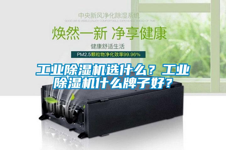 工業除濕機選什么？工業除濕機什么牌子好？