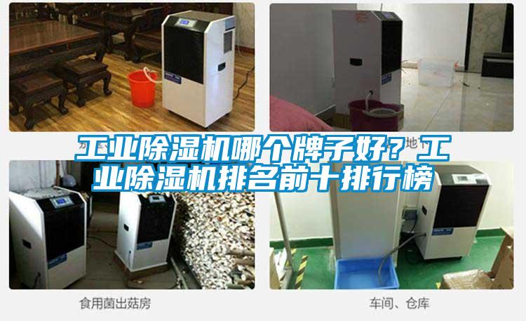 工業(yè)除濕機哪個牌子好？工業(yè)除濕機排名前十排行榜