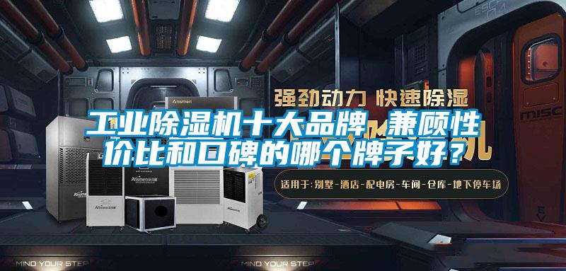 工業(yè)除濕機(jī)十大品牌 兼顧性?xún)r(jià)比和口碑的哪個(gè)牌子好？
