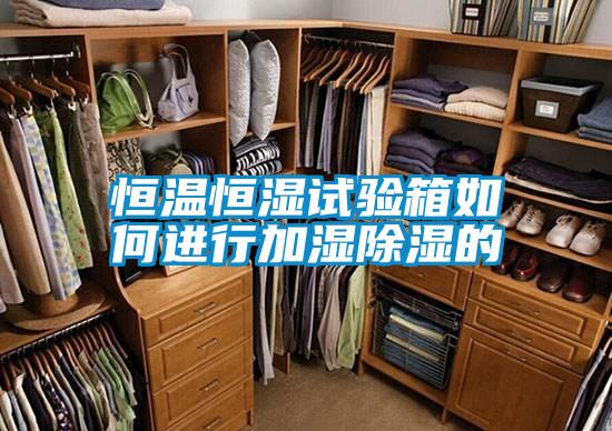 恒溫恒濕試驗箱如何進(jìn)行加濕除濕的