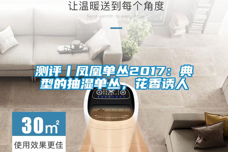 測評丨鳳凰單叢2017:典型的抽濕單叢,花香誘人