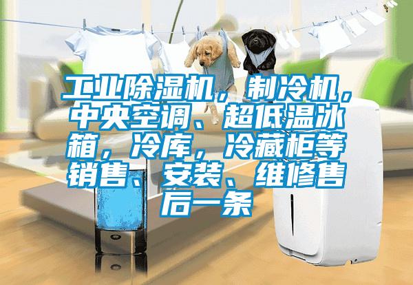工業除濕機，制冷機，中央空調、超低溫冰箱，冷庫，冷藏柜等銷售、安裝、維修售后一條