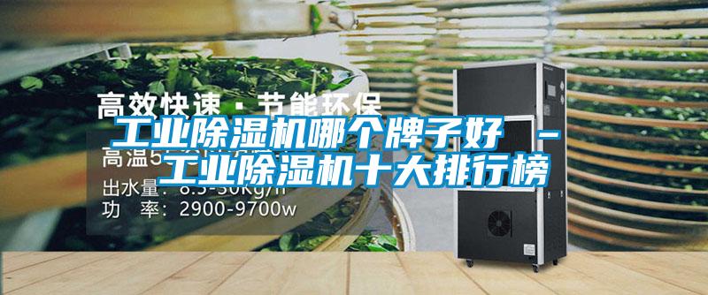 工業(yè)除濕機(jī)哪個牌子好 – 工業(yè)除濕機(jī)十大排行榜
