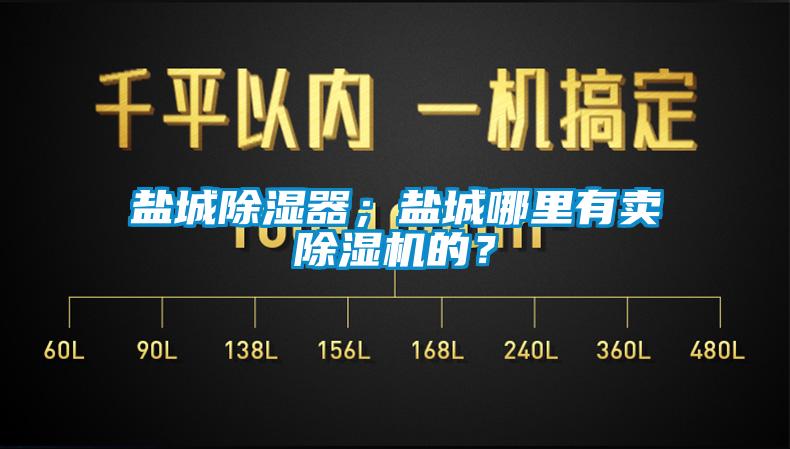 鹽城除濕器；鹽城哪里有賣除濕機的？