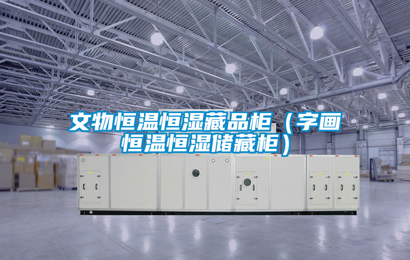文物恒溫恒濕藏品柜（字畫(huà)恒溫恒濕儲(chǔ)藏柜）