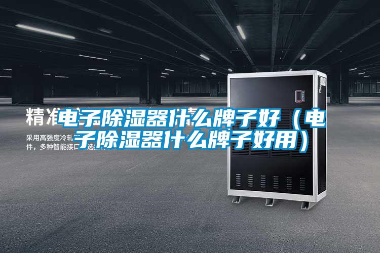 電子除濕器什么牌子好(電子除濕器什么牌子好用)