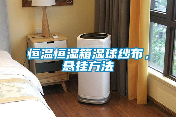 恒溫恒濕箱濕球紗布,懸掛方法