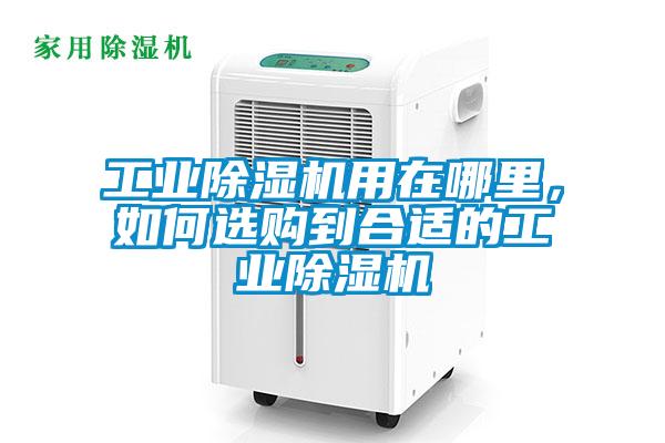工業(yè)除濕機(jī)用在哪里,如何選購到合適的工業(yè)除濕機(jī)