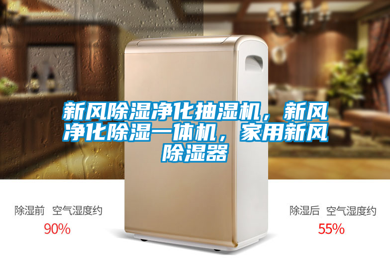 新風除濕凈化抽濕機，新風凈化除濕一體機，家用新風除濕器