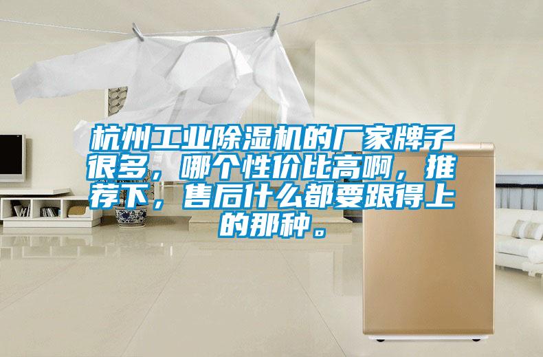 杭州工業除濕機的廠家牌子很多，哪個性價比高啊，推薦下，售后什么都要跟得上的那種。