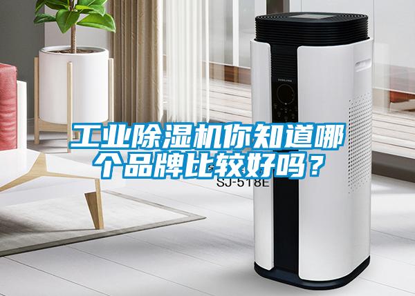 工業(yè)除濕機(jī)你知道哪個品牌比較好嗎？