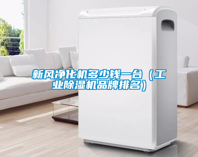 新風凈化機多少錢一臺(工業除濕機品牌排名)