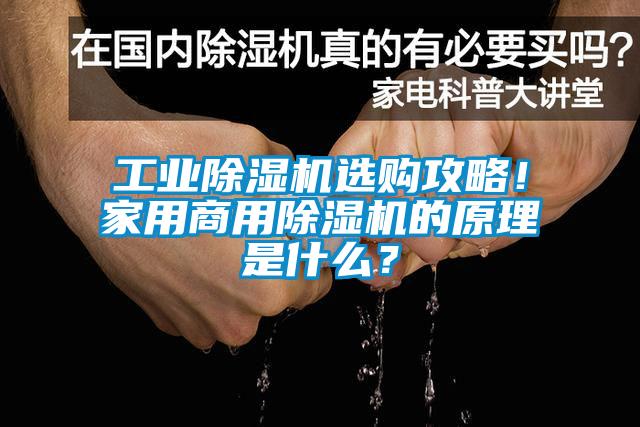 工業除濕機選購攻略！家用商用除濕機的原理是什么？