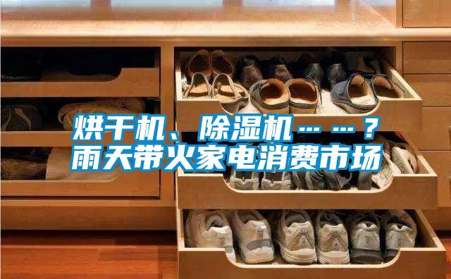 烘干機(jī)、除濕機(jī)……？雨天帶火家電消費(fèi)市場
