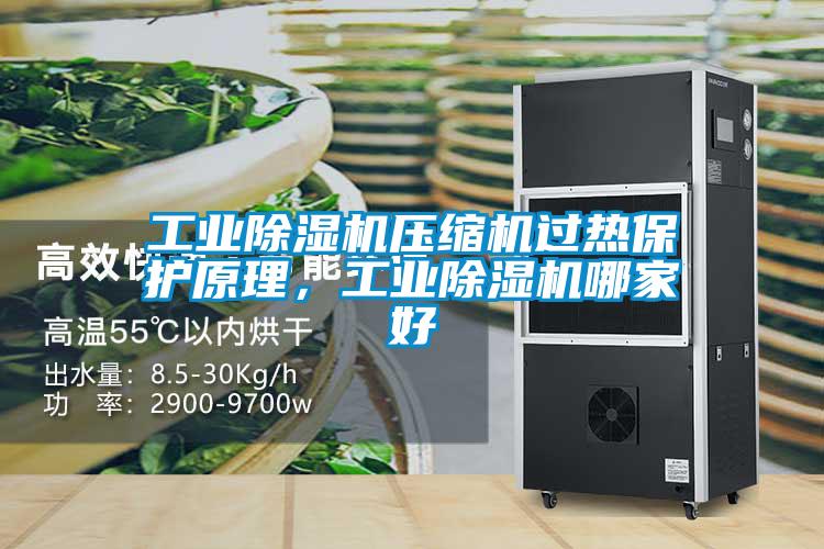 工業除濕機壓縮機過熱保護原理，工業除濕機哪家好