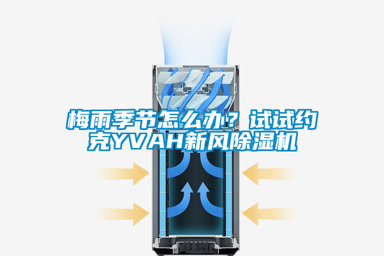 梅雨季節(jié)怎么辦？試試約克YVAH新風除濕機