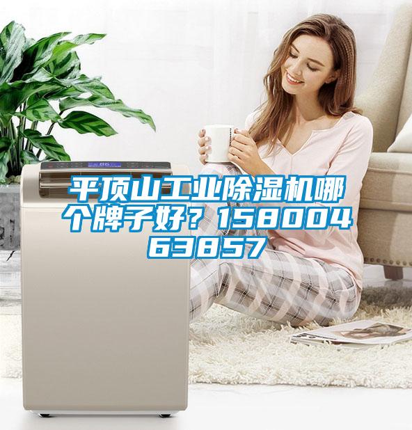 平頂山工業除濕機哪個牌子好？15800463857