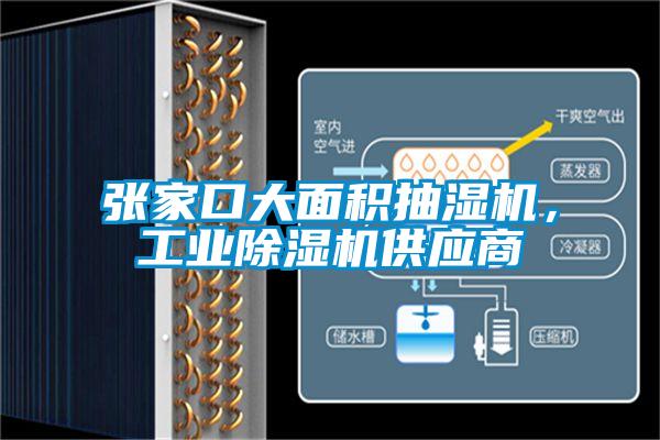 張家口大面積抽濕機，工業(yè)除濕機供應商