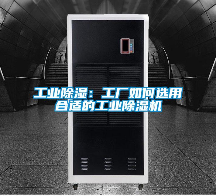 工業除濕：工廠如何選用合適的工業除濕機