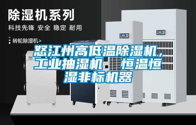 怒江州高低溫除濕機,工業(yè)抽濕機 恒溫恒濕非標(biāo)機器