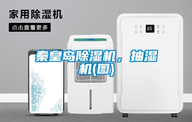 秦皇島除濕機(jī),抽濕機(jī)(圖)