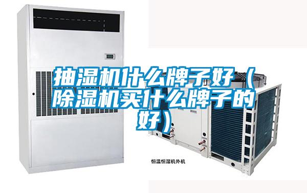 抽濕機(jī)什么牌子好（除濕機(jī)買什么牌子的好）