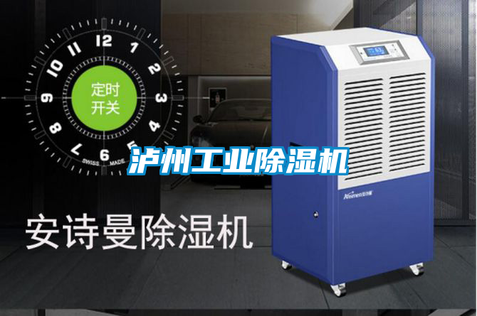 瀘州工業(yè)除濕機