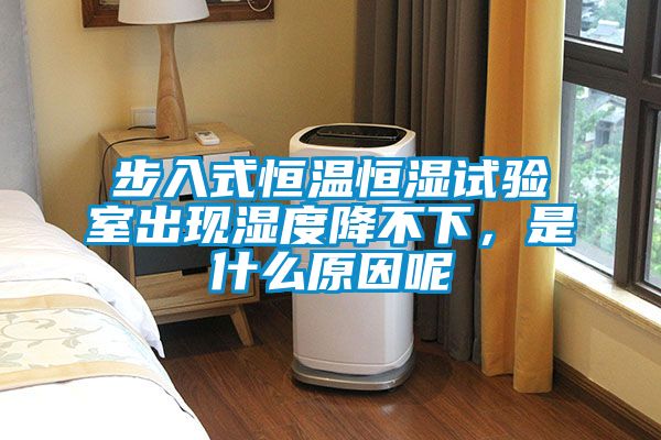 步入式恒溫恒濕試驗室出現濕度降不下，是什么原因呢