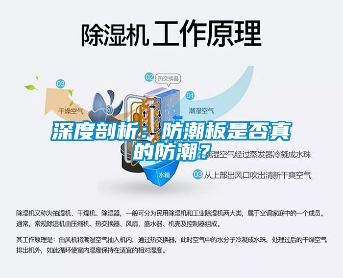 深度剖析：防潮板是否真的防潮？