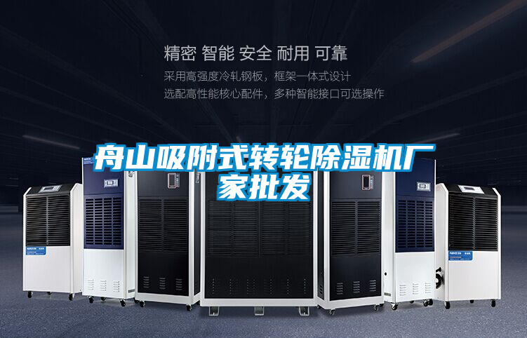 舟山吸附式轉輪除濕機廠家批發(fā)