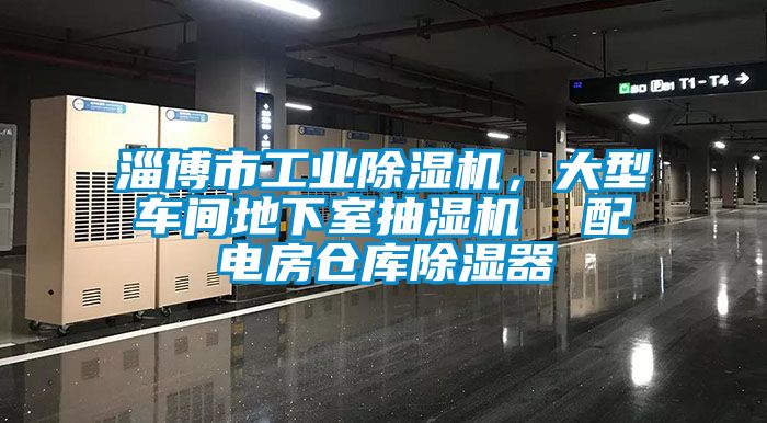 淄博市工業(yè)除濕機(jī),大型車間地下室抽濕機(jī) 配電房倉庫除濕器
