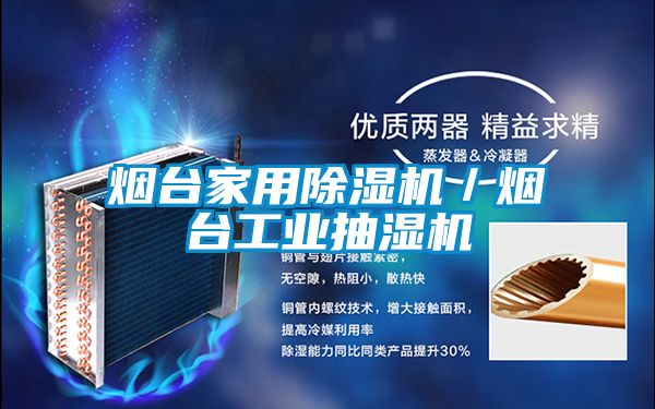煙臺(tái)家用除濕機(jī)/煙臺(tái)工業(yè)抽濕機(jī)