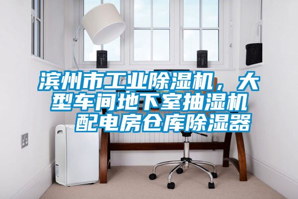 濱州市工業除濕機，大型車間地下室抽濕機  配電房倉庫除濕器