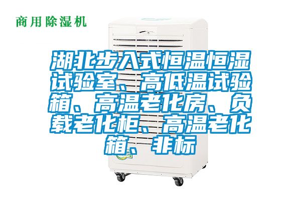 湖北步入式恒溫恒濕試驗室、高低溫試驗箱、高溫老化房、負載老化柜、高溫老化箱、非標