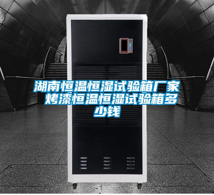 湖南恒溫恒濕試驗(yàn)箱廠家 烤漆恒溫恒濕試驗(yàn)箱多少錢(qián)