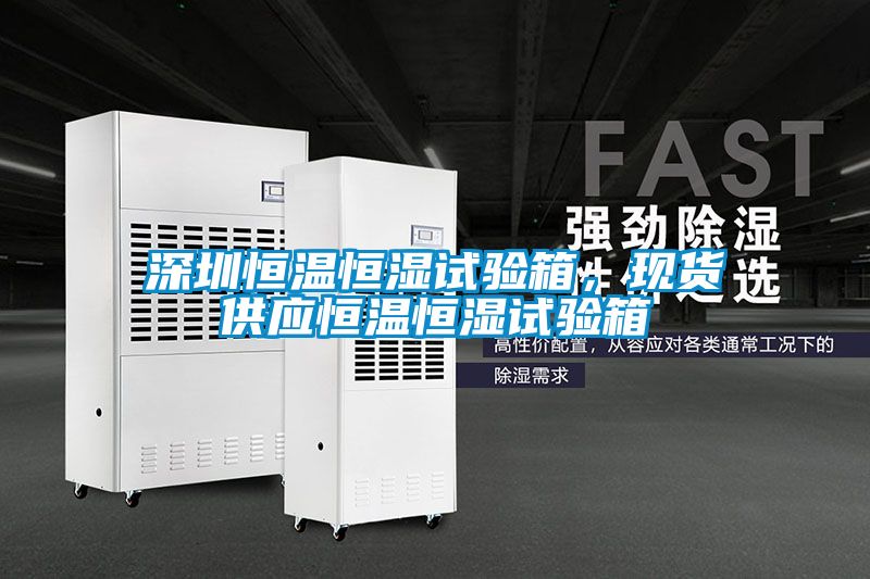 深圳恒溫恒濕試驗箱,現(xiàn)貨供應恒溫恒濕試驗箱
