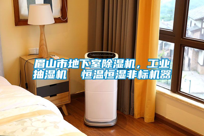眉山市地下室除濕機，工業抽濕機  恒溫恒濕非標機器