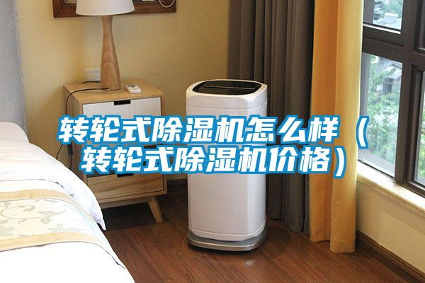 轉輪式除濕機怎么樣(轉輪式除濕機價格)