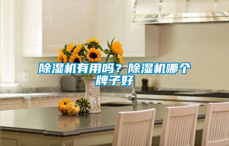 除濕機(jī)有用嗎？除濕機(jī)哪個(gè)牌子好