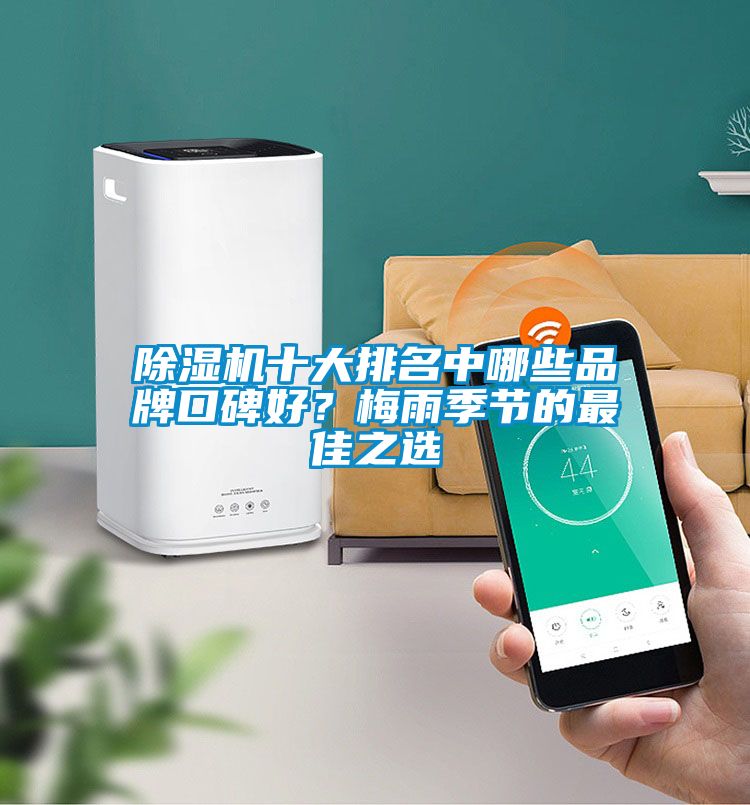 除濕機十大排名中哪些品牌口碑好?梅雨季節(jié)的最佳之選