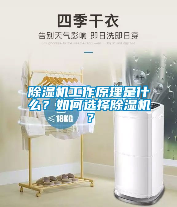 除濕機工作原理是什么？如何選擇除濕機？