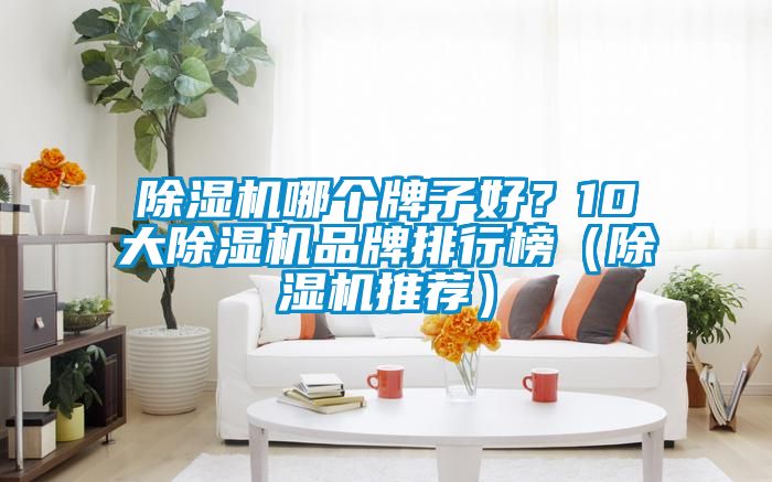 除濕機(jī)哪個(gè)牌子好？10大除濕機(jī)品牌排行榜（除濕機(jī)推薦）