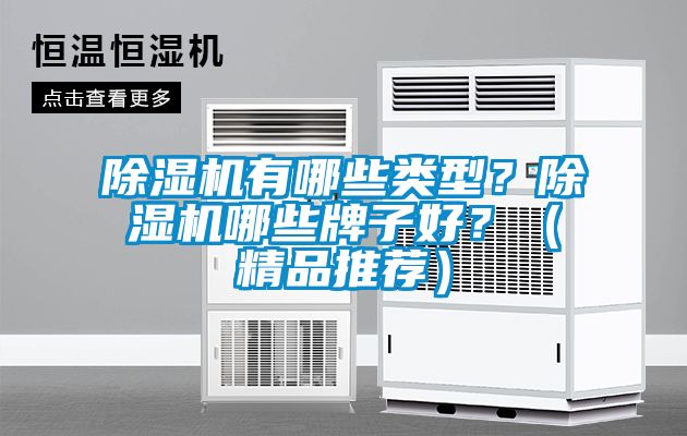 除濕機有哪些類型?除濕機哪些牌子好?(精品推薦)