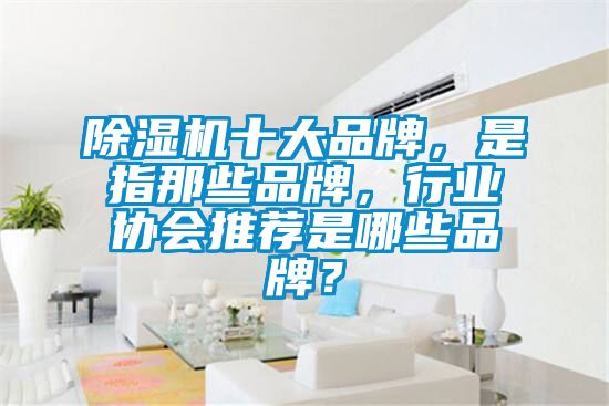 除濕機十大品牌，是指那些品牌，行業協會推薦是哪些品牌？