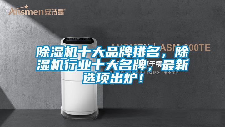 除濕機十大品牌排名，除濕機行業十大名牌，最新選項出爐！
