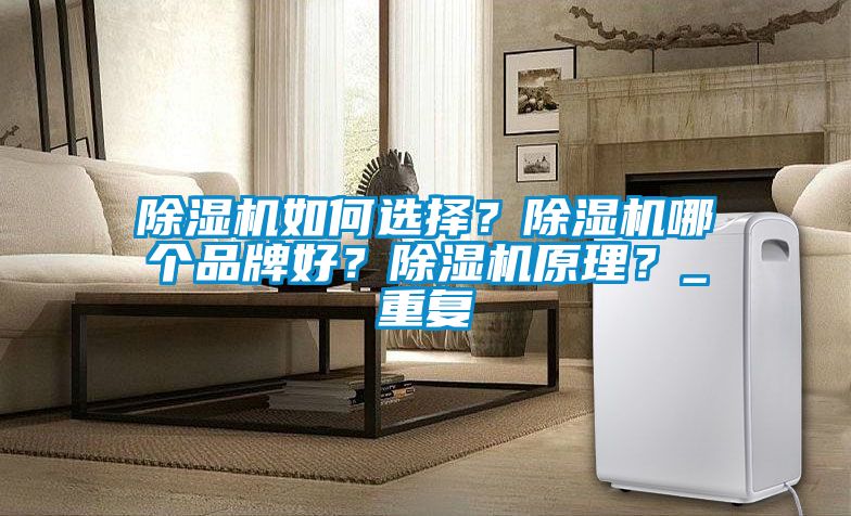 除濕機如何選擇?除濕機哪個品牌好?除濕機原理?_重復
